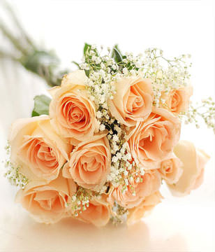 12 champagne roses