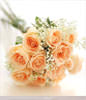 12 champagne roses