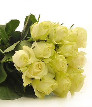 12 white roses