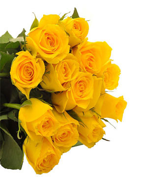 12 yellow roses