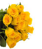 12 yellow roses
