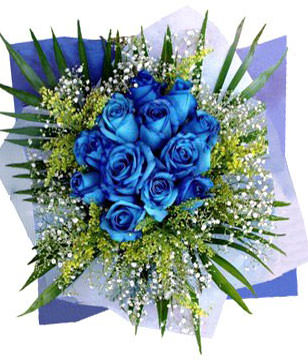 12 blue roses