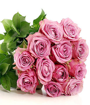 12 purple roses