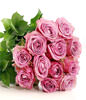 12 purple roses