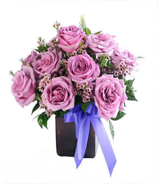 12 lavender roses