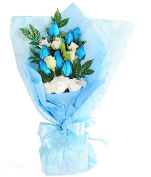 9 blue roses and white carnations