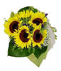 5 Sunflowers