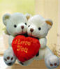 teddy bear