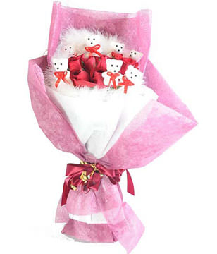 15 Red Roses & 7 Teddy bear with Feather in a bouquet 