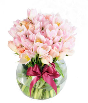 pink tulips and pink roses