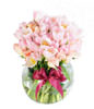 pink tulips and pink roses