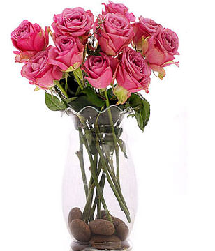 12 Pink Roses In A Glass Vase 