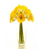 Yellow Gerbera and White Chrysanthemums in a Glass Vase