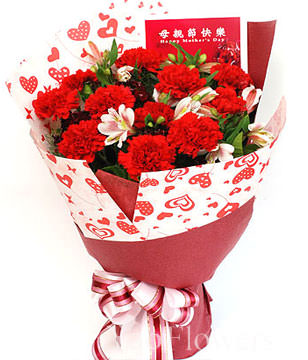 11 Red Carnations,Green leaves
