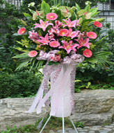 Congratulation. The New Opening,Moving,Advance In Office, Being Promoted. Wedding Ceremony TWCONG12AA024