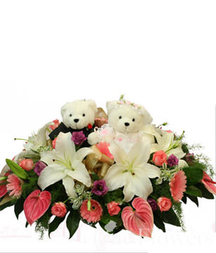 Perfume lily, platicodon grandiflorum, sun plant, rose, flamingo,bears