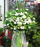Congratulation. The New Opening,Moving,Advance In Office, Being Promoted. Wedding Ceremony TWCONG12AA026