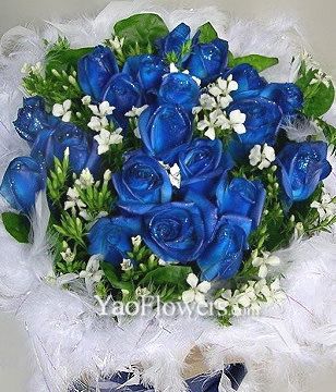 20 Blue roses
