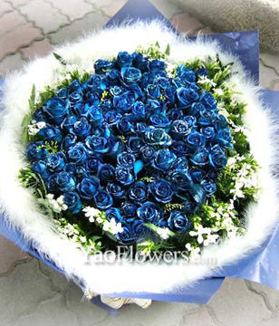 101 Blue roses