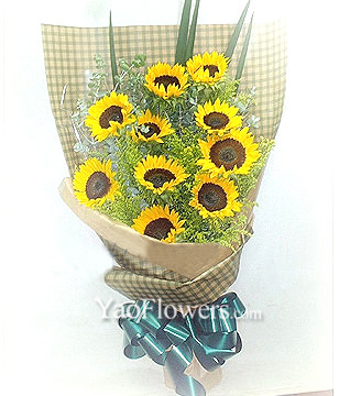 10 Sunflowers