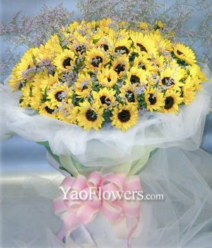 101 Sunflowers
