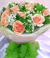 12 Pink roses