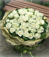 50 Top White roses