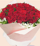 56 Red roses