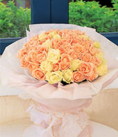 66 Champange roses