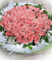 101 Diana pink roses