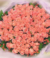 101 Pink roses