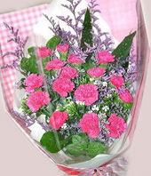 15 Peach carnations