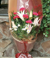 5 Lilium,6 Pink carnations
