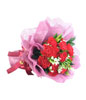Bouquet of 12 Red Carnations