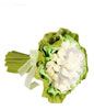 36 White Roses in a bouquet