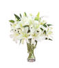 6 White Lilies,Green Leaves,Vase included