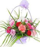 26 Mixed Carnation,1 white lily,Green leaves,Basket