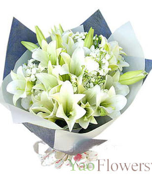 10 Lilium longiflorum ,The white green leaves dotted