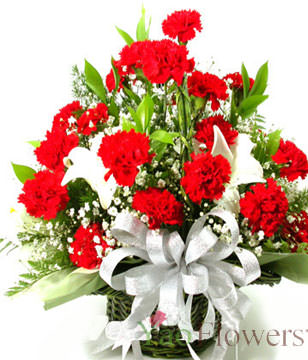 36 red carnations, 2 perfume lilies, the serissa fetida, the green leaf is plentiful 