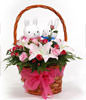 Basket included,16 red roses, 9 pink roses , 3 lilies , a pair of rabbits, green leafy fullness