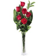 six premium red roses and complementary greenery