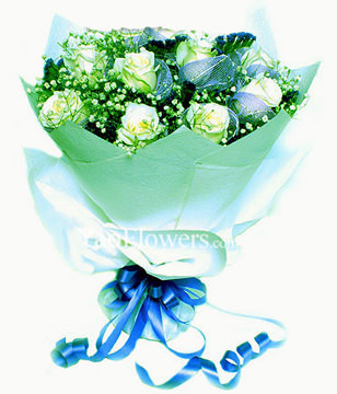 11 white roses