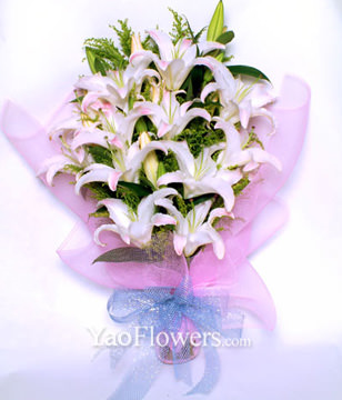 12 White Lilium