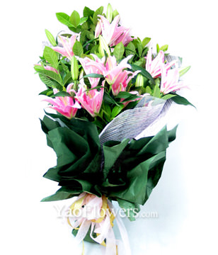 6 Pink Lilies