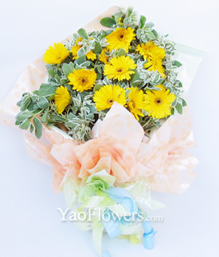 12 yellow daisies