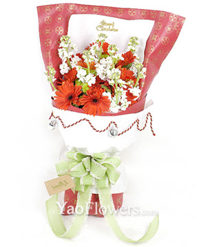12 red daisies,8 white wall flower