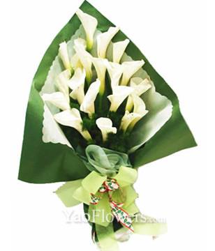 19 white zantedeschia