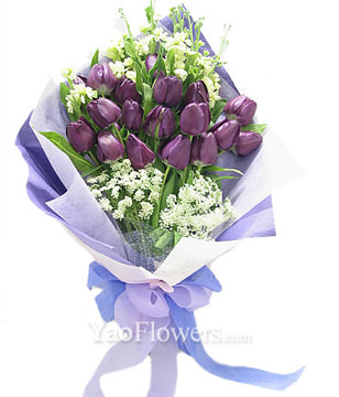 20 purple tulip