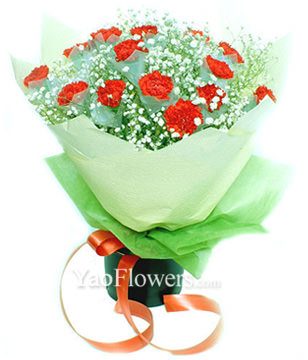 16 red carnations