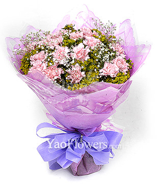 12 pink carnations
